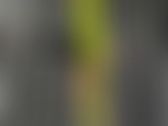 Technique Tip Tuesday - Pointed Foot Single Ankle Hang