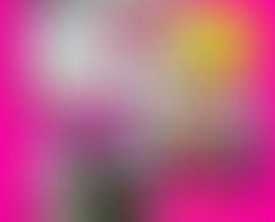 FREE Sydney Sixers Super Clinic - 13 September
