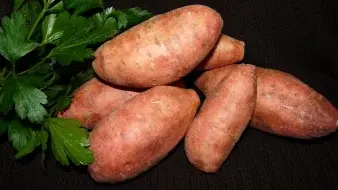 ree