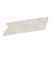 Shannon Thomas (1)_edited_edited.png