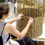 making willow log basket 