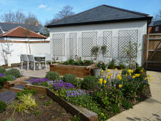 SS trellis in the Spring.jpg