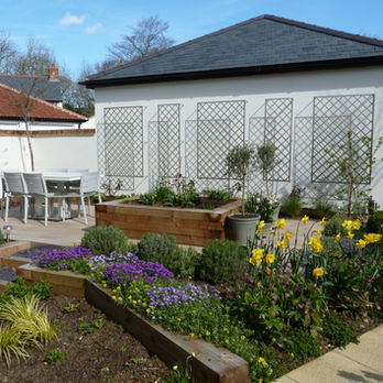 SS trellis in the Spring.jpg