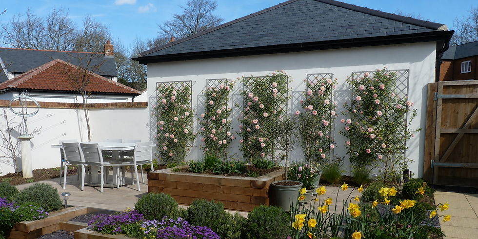 Stainless steel trellis with roses