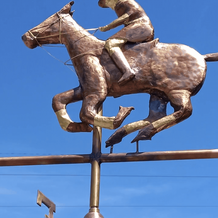 Polo-Weathervane-square.gif