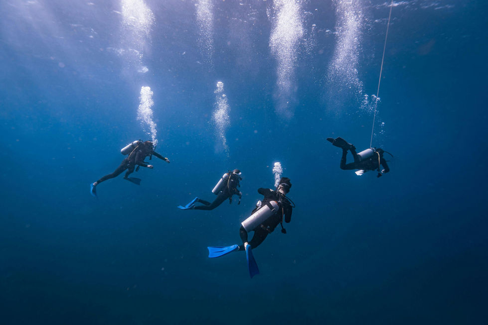 a group of scuba divers are swimming in the ocean