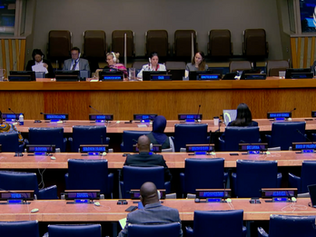 Petitioners on Western Sahara Highlight Human Rights Concerns