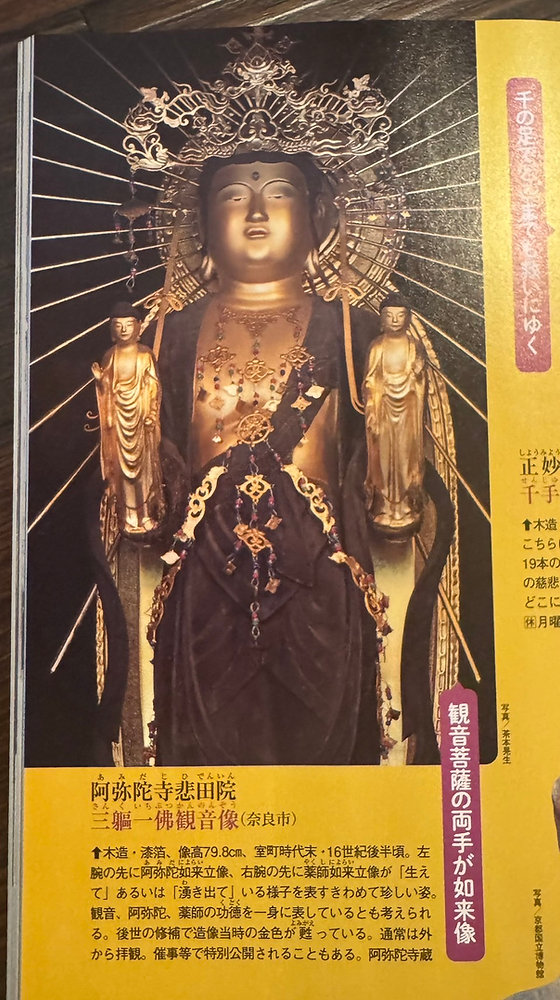 ある過去の行方('13仏/伊) 隔週刊 古寺行こう (38) 観世音寺・三佛寺と西国の名刹 2023年 9