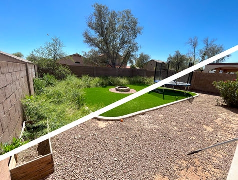 Yard clean up before and after