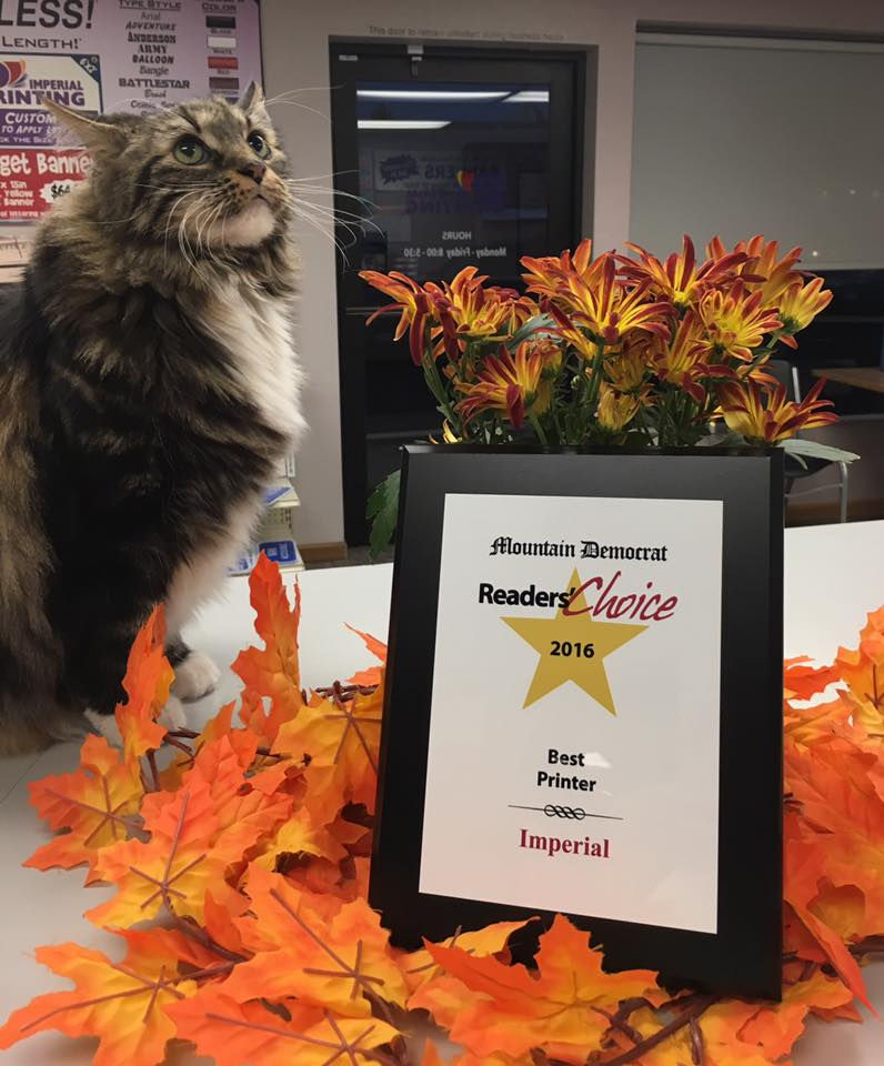 14955805_1236343169756134_2641490724922774431_n