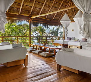Big Palapa.jpg