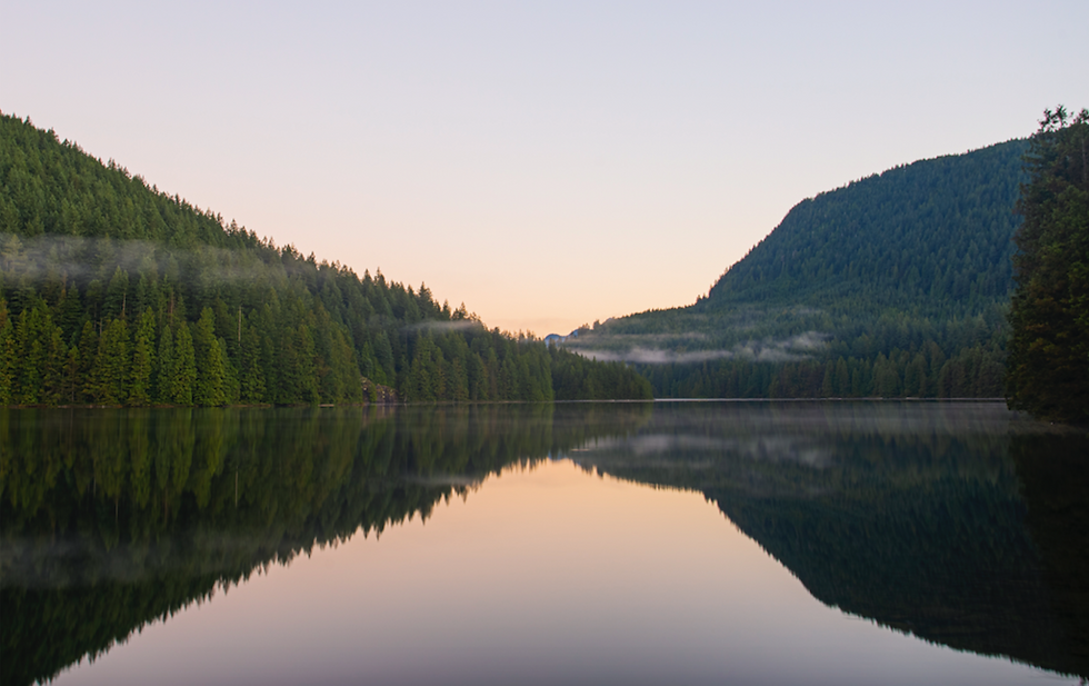 ESCAPE to the forest, RECONNECT with yourself