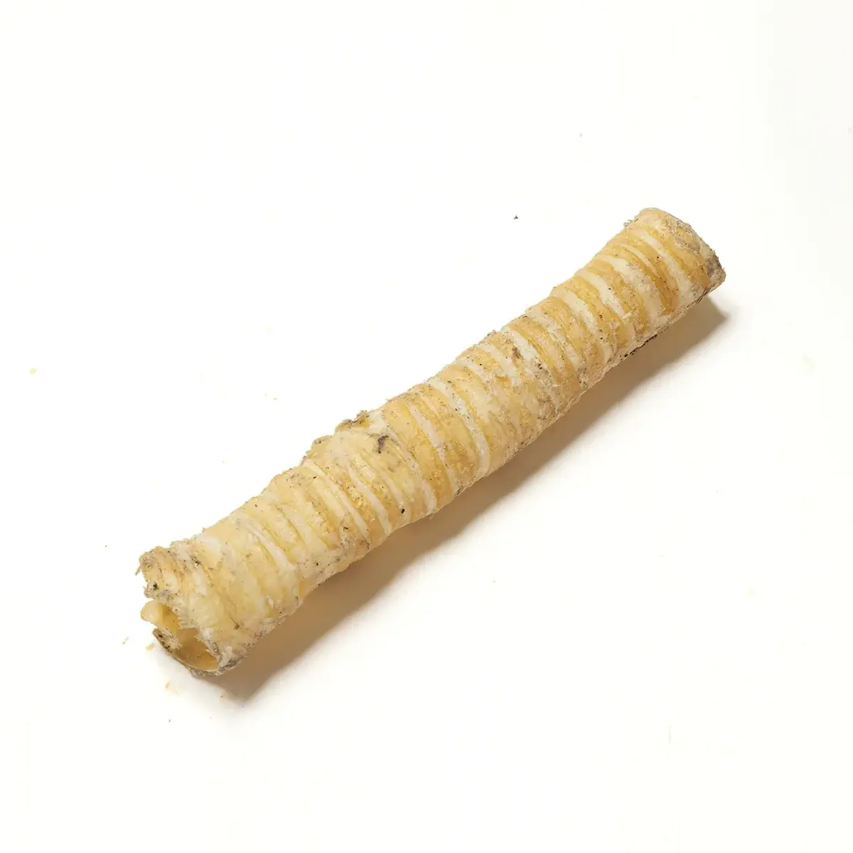 Beef Trachea
