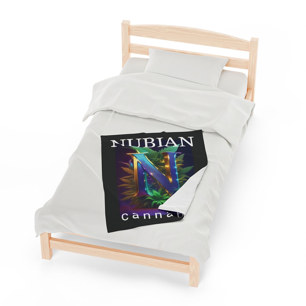 Thumbnail: Velveteen Plush Blanket