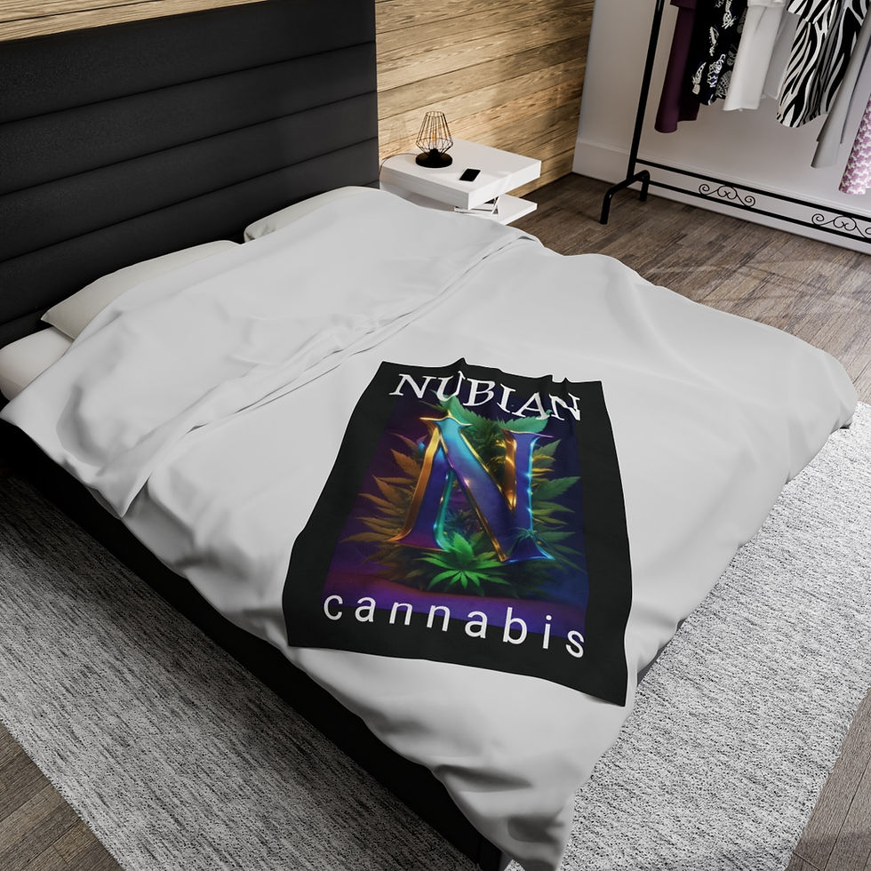 Thumbnail: Velveteen Plush Blanket