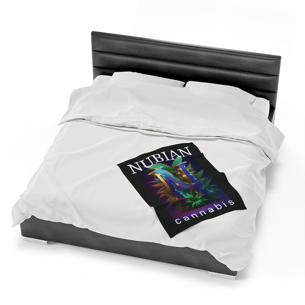 Thumbnail: Velveteen Plush Blanket