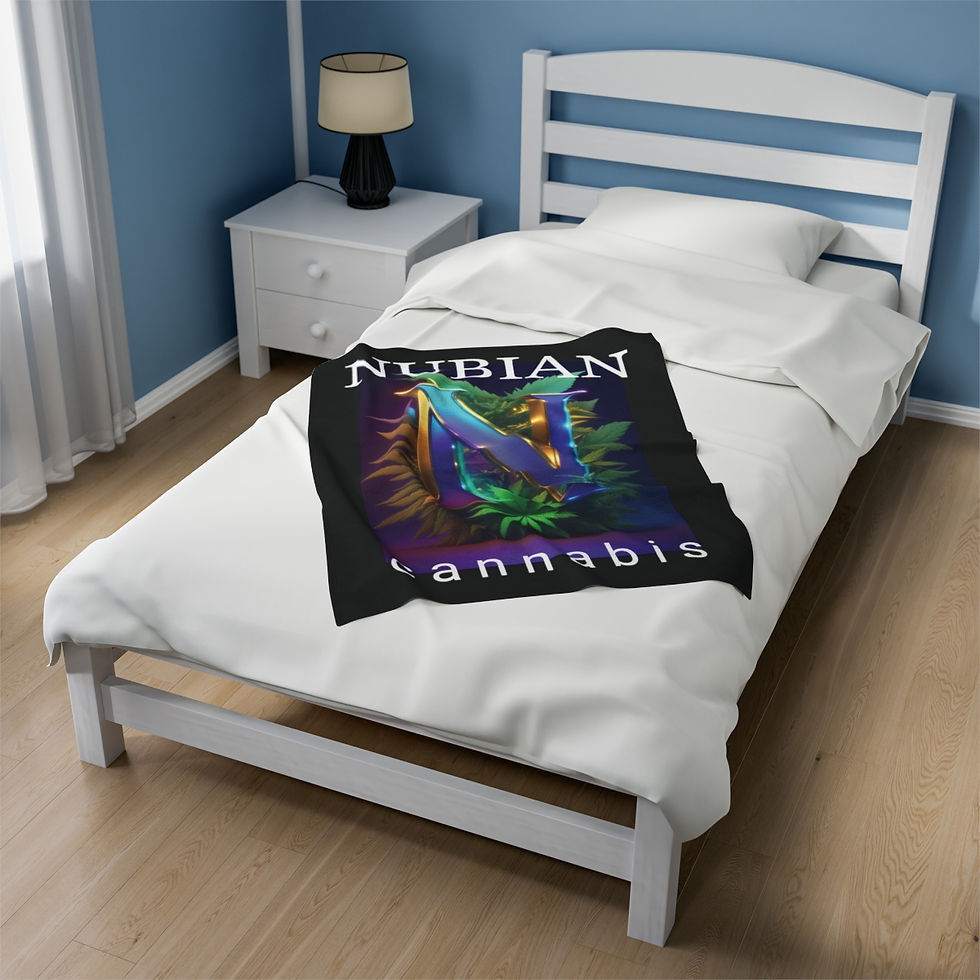 Thumbnail: Velveteen Plush Blanket