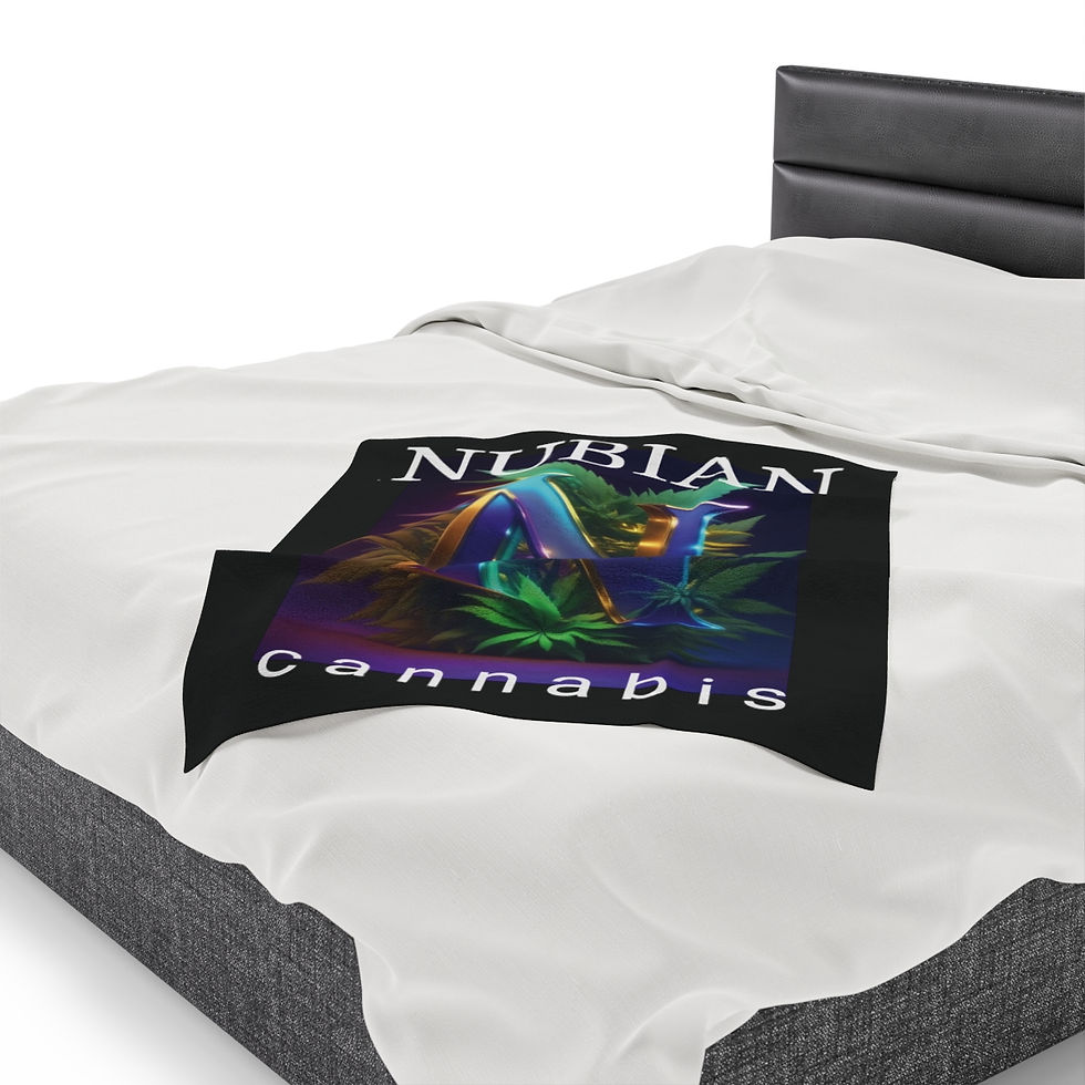 Thumbnail: Velveteen Plush Blanket