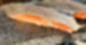 1694086828306_edited.jpg