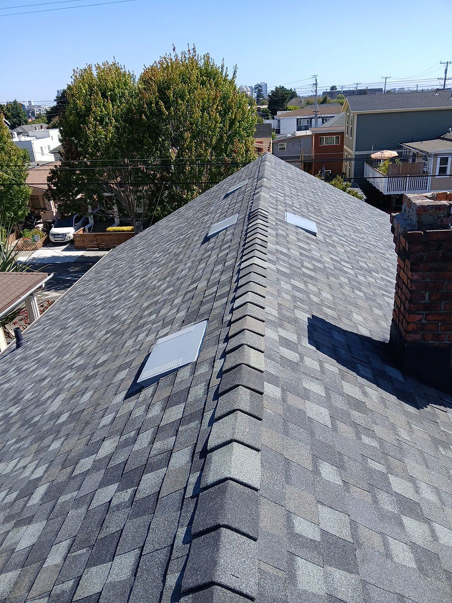 roofpic17.jpg
