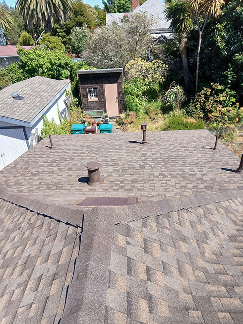 roofpic7.jpg