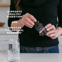 Screenshot 2023-03-13 at 4.24.48 PM.png