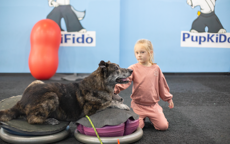 Child interacting safely with family dog