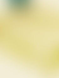 Elevating Brain Health: The Power of Olive Oil in Preventing Cognitive Decline