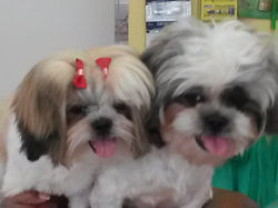 20150123_170545.jpg