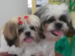 20150123_170519.jpg