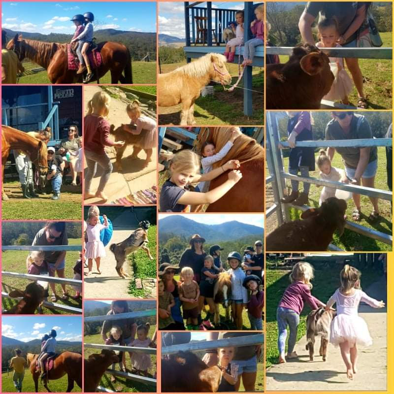 Farm Tours