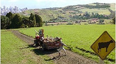 sm141.jpg