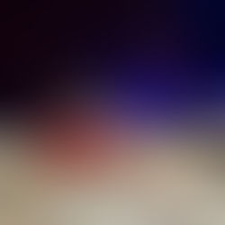 Technischer Einsatz – Aufräumarbeiten nach Verkehrsunfall