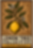 Lemon Tree Woodcut Logo