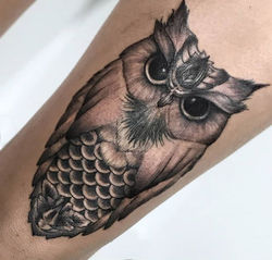 Buho #tattoo #owl #owltattoo #buhotattoo