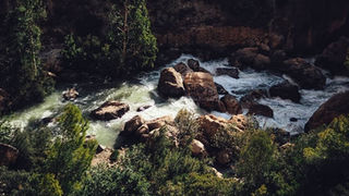 Screenshot_20200815-120631_Instagram-01.jpeg