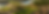 Rectangle 4912.png