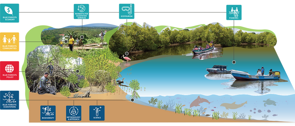 Landscape Graphic_Ecuador.png