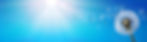 shutterstock_1347178154_Breder_LR_edited.jpg