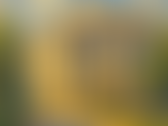 Alabama Courthouse, Alabama Rules of Criminal Procedure, Criminal Defense, Criminal Law, Speedy Trial