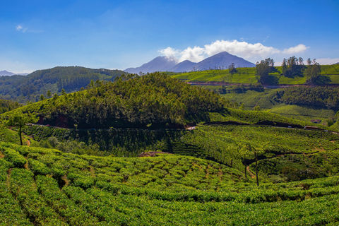 Lush green hills with distant mountains under blue sky.