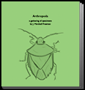 Arthropoda_cover_pubwk_thumb.gif