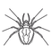 Stylized Spider Outline_edited.png