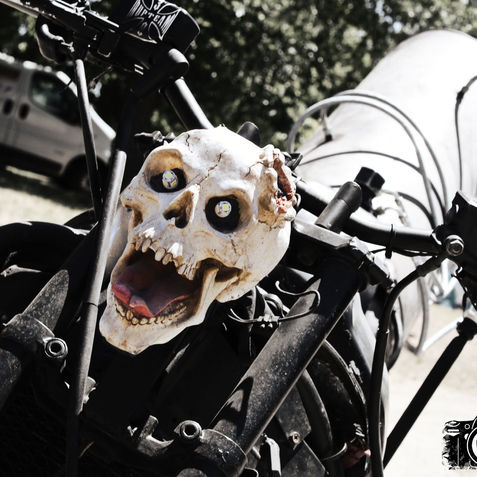 © 2019 Crapautek photographie.