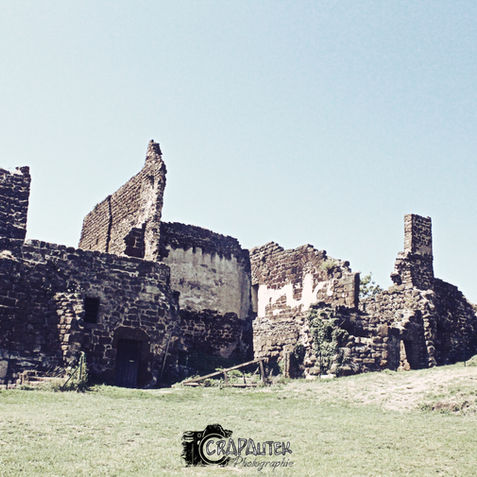 © 2019 Crapautek photographie.