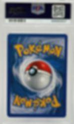 Dark Wartortle (1999) Pokémon Game #42 Early Edition Standard Back View