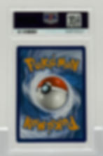 Terapagos ex - Pokémon (2025) Stellar Crown #173 - Secret Hyper Rare - Back View
