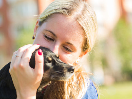 For  OKC Landlords: Are Pets a No-No?