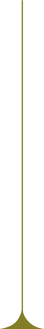 Asset 6.png