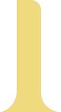 Asset 19.png